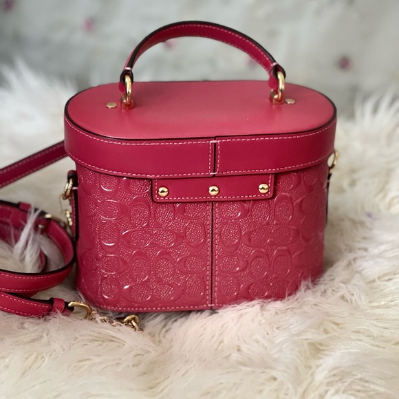 COACH bucket bag strawberry color  NWT - Picture 6 of 12